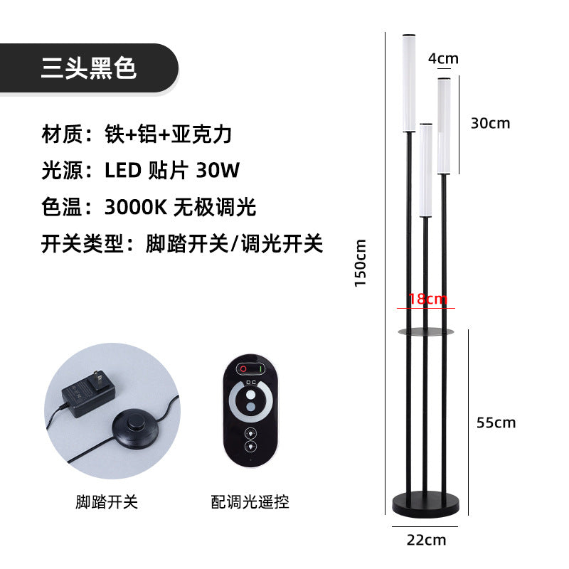 Modern Minimalist LED Floor Lamp with Acrylic Design