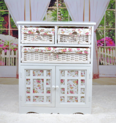Storage Cabinet and Furniture