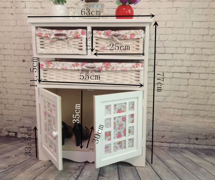 Storage Cabinet and Furniture